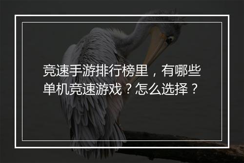 竞速手游排行榜里,有哪些单机竞速游戏?怎么选择?