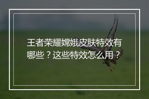 王者荣耀嫦娥皮肤特效有哪些?这些特效怎么用?