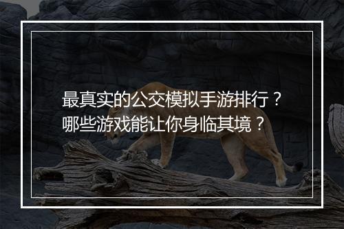 最真实的公交模拟手游排行?哪些游戏能让你身临其境?