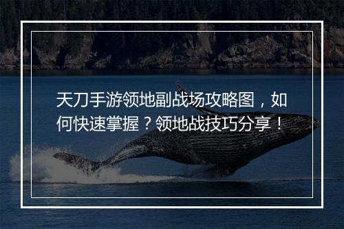 天刀手游领地副战场攻略图，如何快速掌握？领地战技巧分享！