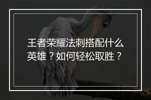 王者荣耀法刺搭配什么英雄？如何轻松取胜？