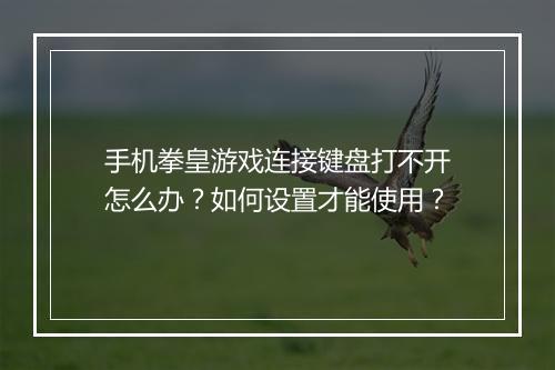 手机拳皇游戏连接键盘打不开怎么办?如何设置才能使用?