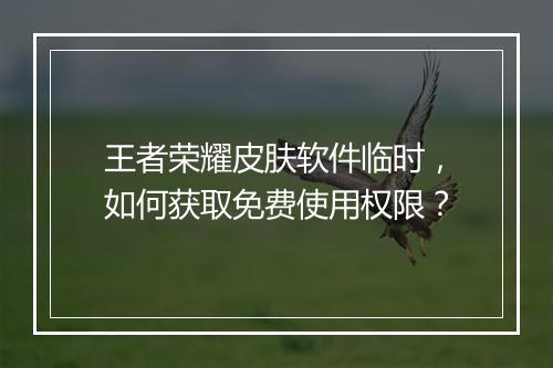 王者荣耀皮肤软件临时,如何获取免费使用权限?