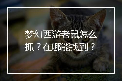 梦幻西游老鼠怎么抓？在哪能找到？