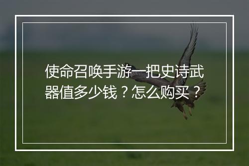 使命召唤手游一把史诗武器值多少钱?怎么购买?