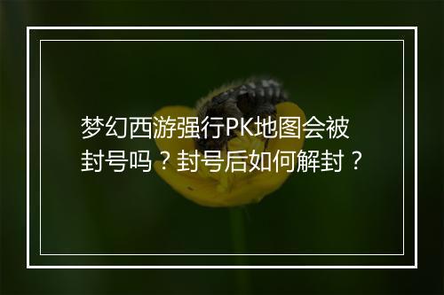 梦幻西游强行PK地图会被封号吗?封号后如何解封?