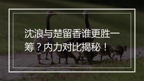 沈浪与楚留香谁更胜一筹?内力对比揭秘!