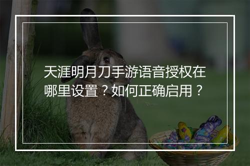 天涯明月刀手游语音授权在哪里设置？如何正确启用？