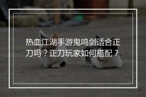 热血江湖手游鬼鸣剑适合正刀吗?正刀玩家如何搭配?