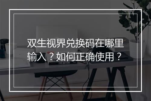 双生视界兑换码在哪里输入?如何正确使用?