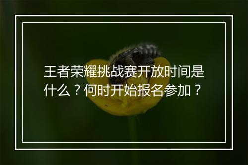 王者荣耀挑战赛开放时间是什么？何时开始报名参加？