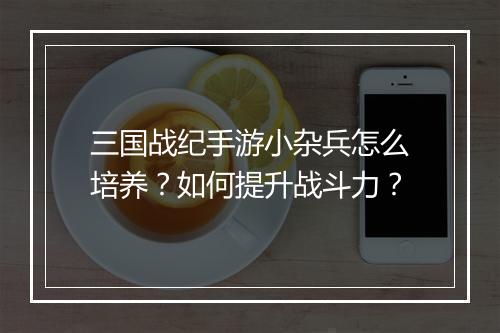 三国战纪手游小杂兵怎么培养？如何提升战斗力？