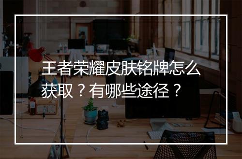 王者荣耀皮肤铭牌怎么获取?有哪些途径?