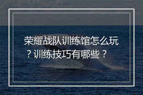 荣耀战队训练馆怎么玩?训练技巧有哪些?