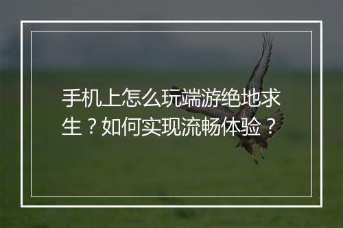 手机上怎么玩端游绝地求生?如何实现流畅体验?