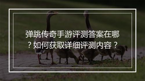 弹跳传奇手游评测答案在哪?如何获取详细评测内容?