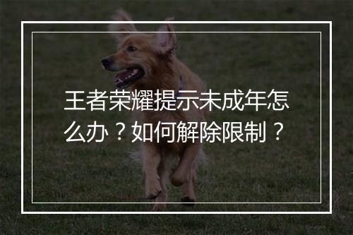 王者荣耀提示未成年怎么办?如何解除限制?