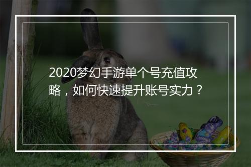 2020梦幻手游单个号充值攻略,如何快速提升账号实力?
