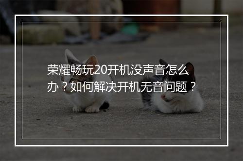 荣耀畅玩20开机没声音怎么办？如何解决开机无音问题？