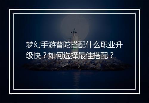 梦幻手游普陀搭配什么职业升级快?如何选择最佳搭配?