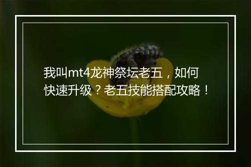 我叫mt4龙神祭坛老五，如何快速升级？老五技能搭配攻略！