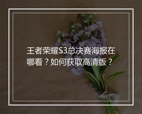 王者荣耀S3总决赛海报在哪看?如何获取高清版?