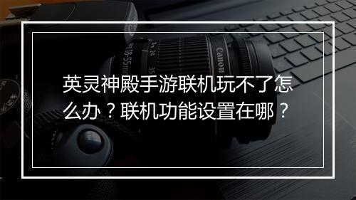 英灵神殿手游联机玩不了怎么办?联机功能设置在哪?