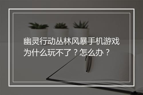 幽灵行动丛林风暴手机游戏为什么玩不了？怎么办？