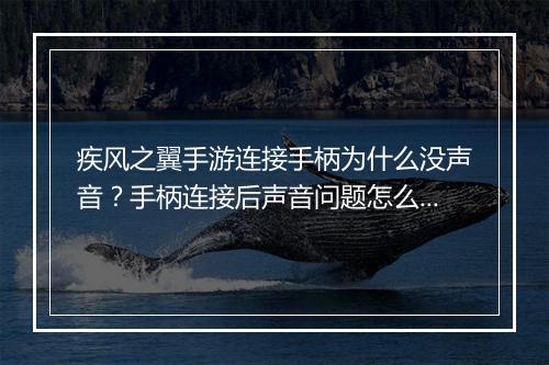 疾风之翼手游连接手柄为什么没声音？手柄连接后声音问题怎么解决？