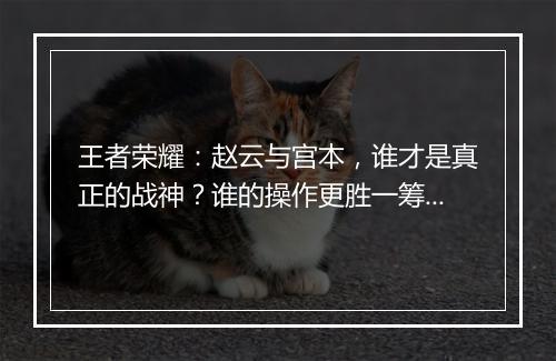 王者荣耀：赵云与宫本，谁才是真正的战神？谁的操作更胜一筹？