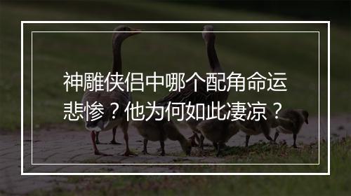 神雕侠侣中哪个配角命运悲惨？他为何如此凄凉？