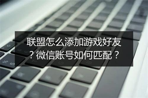 联盟怎么添加游戏好友?微信账号如何匹配?