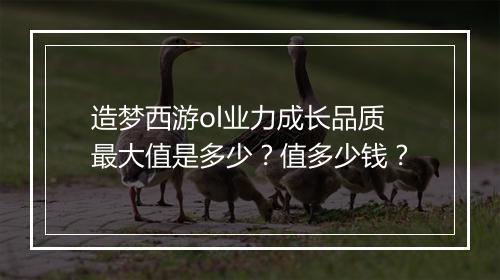 造梦西游ol业力成长品质最大值是多少?值多少钱?