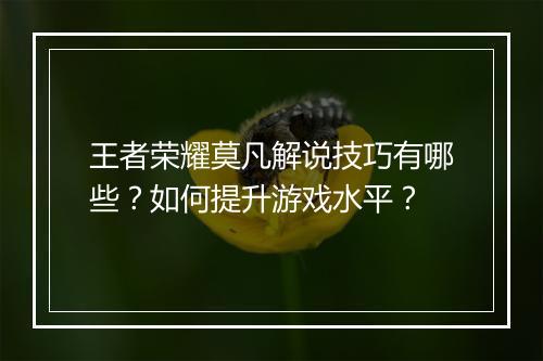 王者荣耀莫凡解说技巧有哪些?如何提升游戏水平?