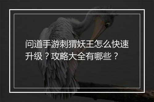 问道手游刺猬妖王怎么快速升级?攻略大全有哪些?
