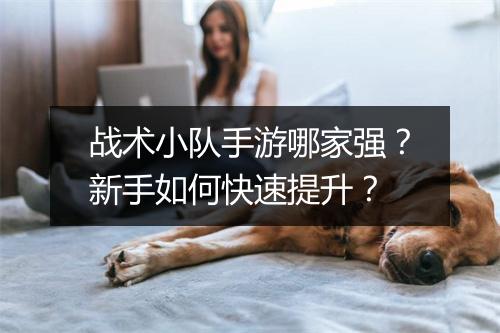 战术小队手游哪家强？新手如何快速提升？