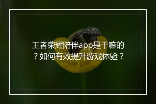 王者荣耀陪伴app是干嘛的?如何有效提升游戏体验?