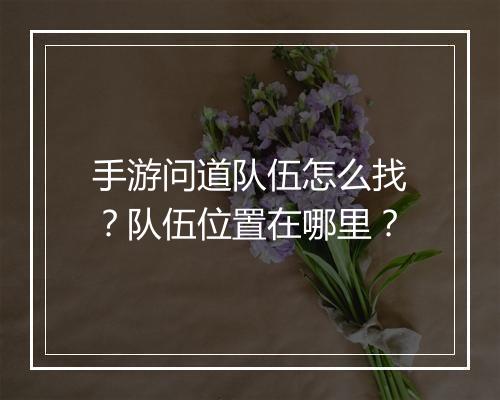 手游问道队伍怎么找？队伍位置在哪里？
