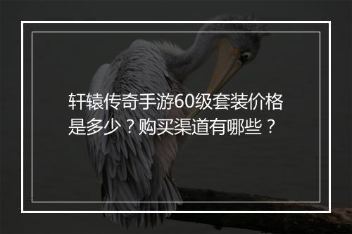 轩辕传奇手游60级套装价格是多少？购买渠道有哪些？