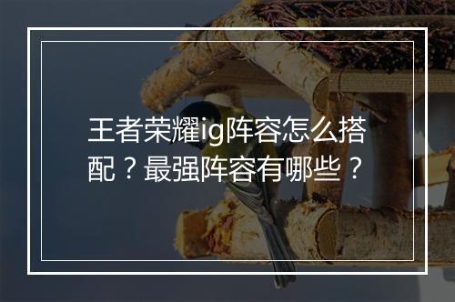 王者荣耀ig阵容怎么搭配?最强阵容有哪些?