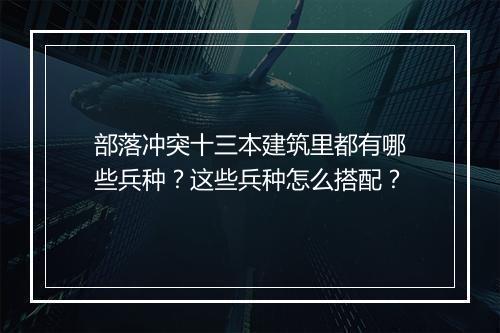 部落冲突十三本建筑里都有哪些兵种?这些兵种怎么搭配?