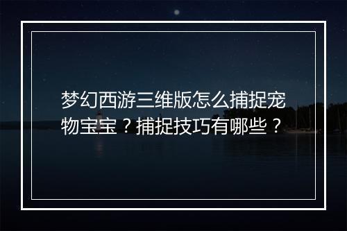 梦幻西游三维版怎么捕捉宠物宝宝？捕捉技巧有哪些？