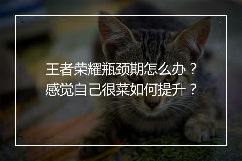 王者荣耀瓶颈期怎么办？感觉自己很菜如何提升？