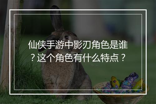 仙侠手游中影刃角色是谁?这个角色有什么特点?