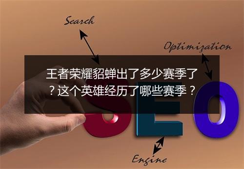 王者荣耀貂蝉出了多少赛季了?这个英雄经历了哪些赛季?
