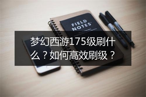 梦幻西游175级刷什么?如何高效刷级?