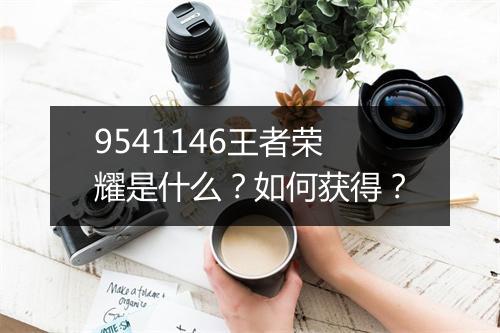9541146王者荣耀是什么？如何获得？