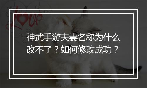 神武手游夫妻名称为什么改不了?如何修改成功?