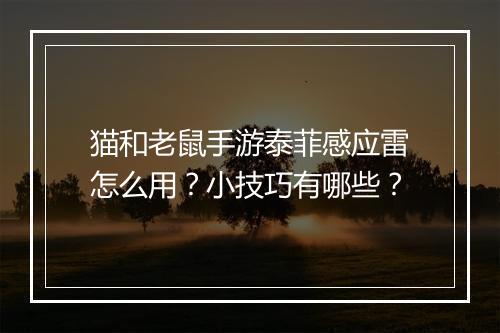 猫和老鼠手游泰菲感应雷怎么用？小技巧有哪些？
