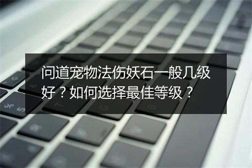 问道宠物法伤妖石一般几级好?如何选择最佳等级?